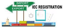 import export license service