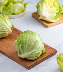 lettuce iceberg