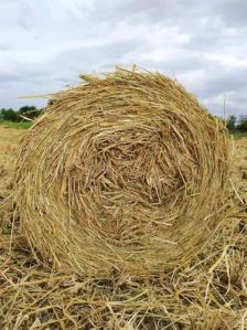 Paddy Straw Bales