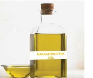 Kapoor Kachari Oil