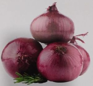 Fresh Red Onion