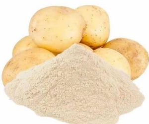 Dehydrated Potato Powder