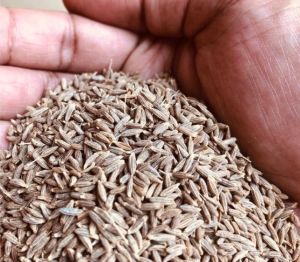 Cumin Brown Seed