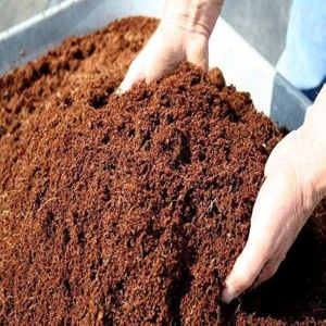 Coco Peat Powder