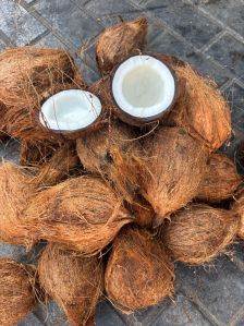 Coconut