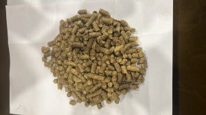 Bio mass Mustard husk pellets 8mm