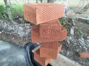 Aspn wire cut bricks