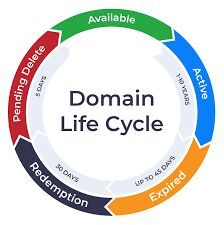 domain registration renewal services