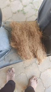 Coconut Coir Fiber