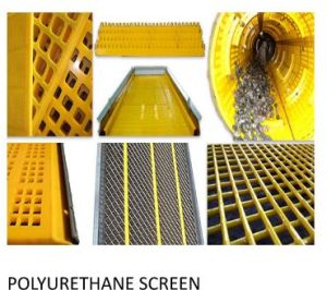 Polyurethane Screen