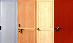 PVC Doors