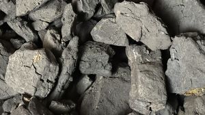 Indonesian Steam Coal