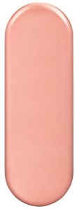 Steel Tongue Cleaner Travel Steel Case Box