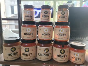 Pure Raw Wild Honey