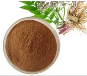 Valeriana Wallichi Extract