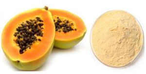 Papaya Extract