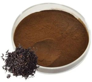 Black Tea Extract