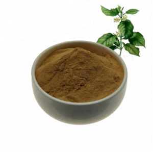 Gymnema Extract