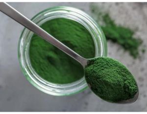 Chlorella Extract