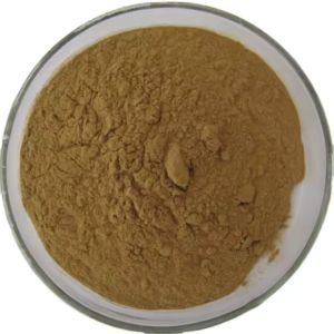 Phyllanthus Niruri Extract