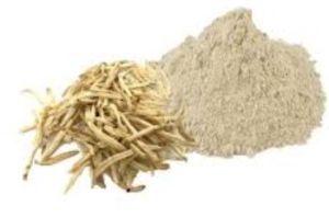 Safed Musli Extract