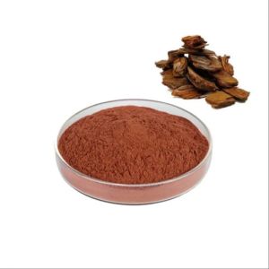 Chir Pine Extract