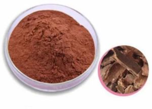 Chir Pine Extract