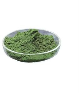 Chlorella Extract