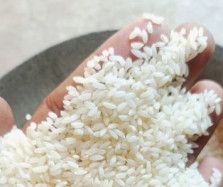 Jeera Samba Rice