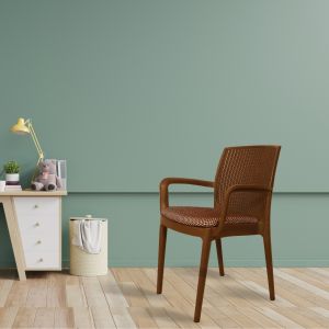 Beeta Chair With Cushion With Handle