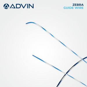 Zebra Guide Wire