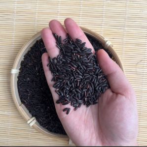 Anti Diabetic Cancer Black Rice