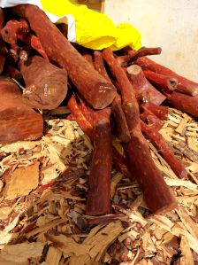 Red sandalwood