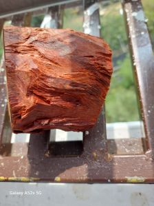 Red Sandalwood