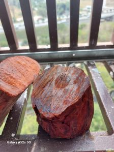 Red Sandalwood