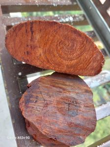 Red Sandalwood