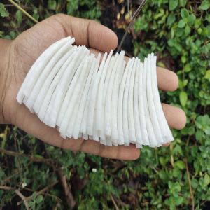 WHITE SMOOTH DENTALIUM SHELLS ( 2 to 2.2 inch ) 2.2 Lbs