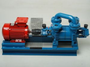 Water Ring Vacuum Pump