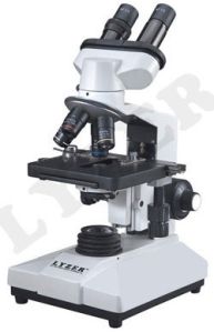 Binocular Microscope