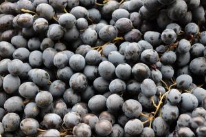 Frozen Black Grapes