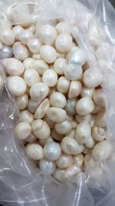 Pearl Powder