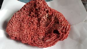 Natural Red Coral Powder