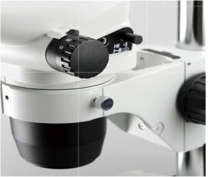 Stereo Microscopes