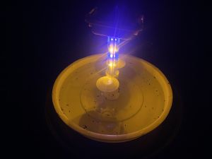 Solar Light Trap