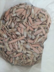 Pink Cuttlefish Bone