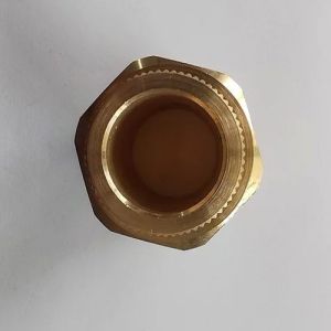 Brass Ppr Inserts