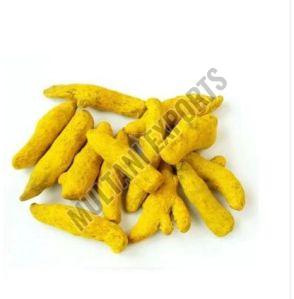 Yellow Turmeric Finger