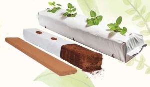 Coco Peat Grow Bag