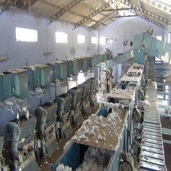 Automatic Cotton Feeding System