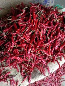 Guntur Red Chilli